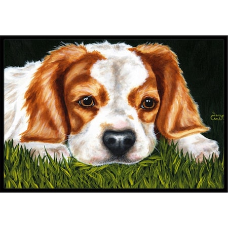 Carolines Treasures Cavalier Spaniel in the Grass Indoor or Outdoor Mat- 18 x 27 AMB1395MAT